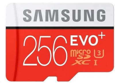 карта памяти - карта microSD на 256 Гб
